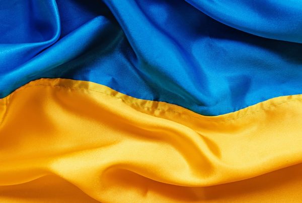 Ukraine Flag